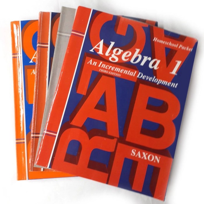 Saxon algebra 1 3rd edition