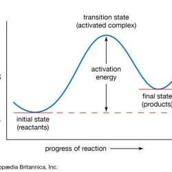 Label the following multi-step reaction energy diagram.